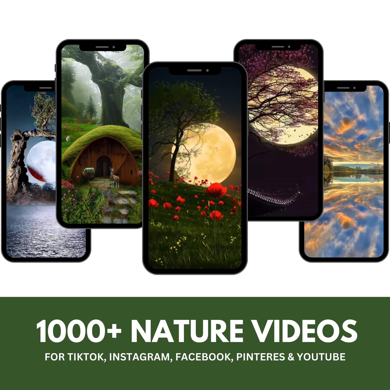 Nature Video Reels Bundle
