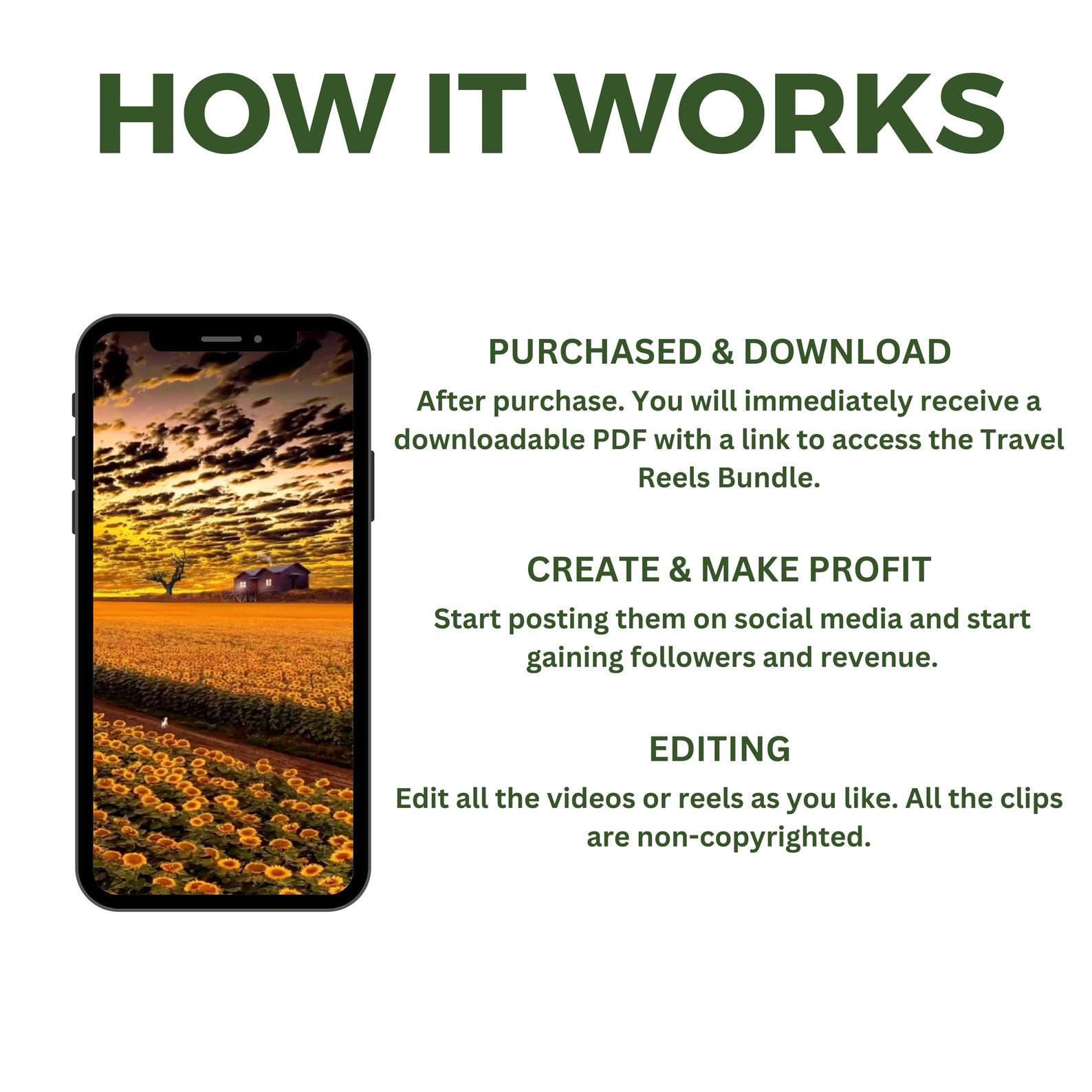 Nature Video Reels Bundle